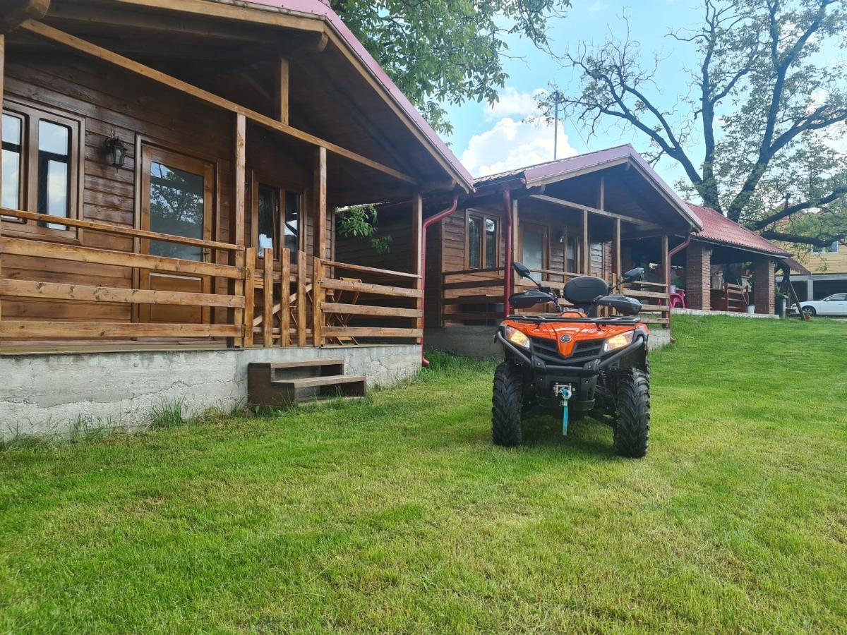 Cabanutele Din Lemn Villa Chiscau Exterior photo
